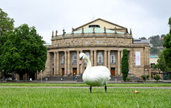 Aushängeschild der baden-württembergischen Kulturszene: das Opernhaus in Stuttgart.  FOTO: WEISSBROD/DPA