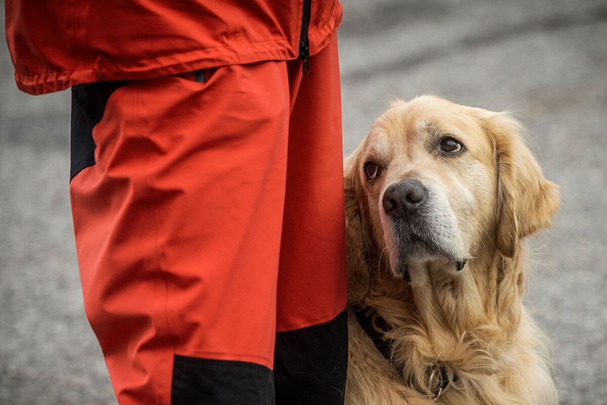 Nach der Suche Nach der Suche