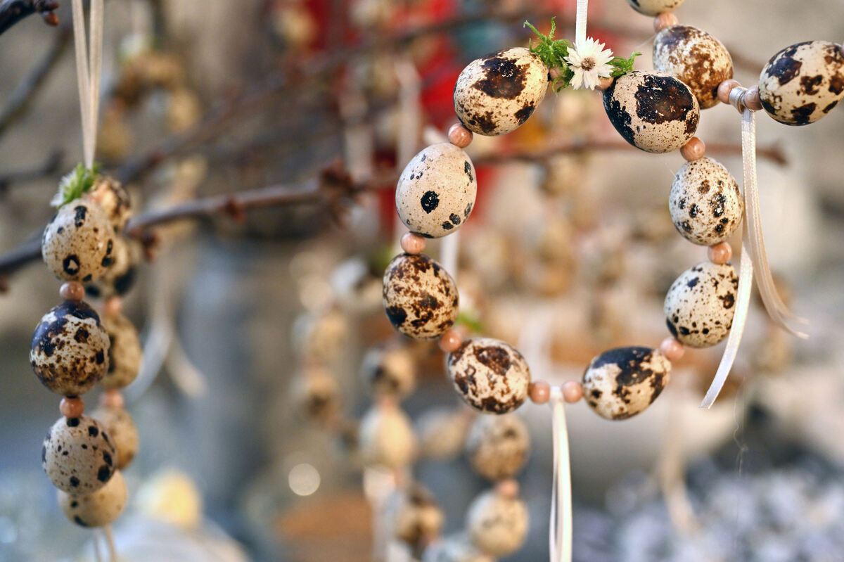 eiermarkt_dapfen_23_pieth_26