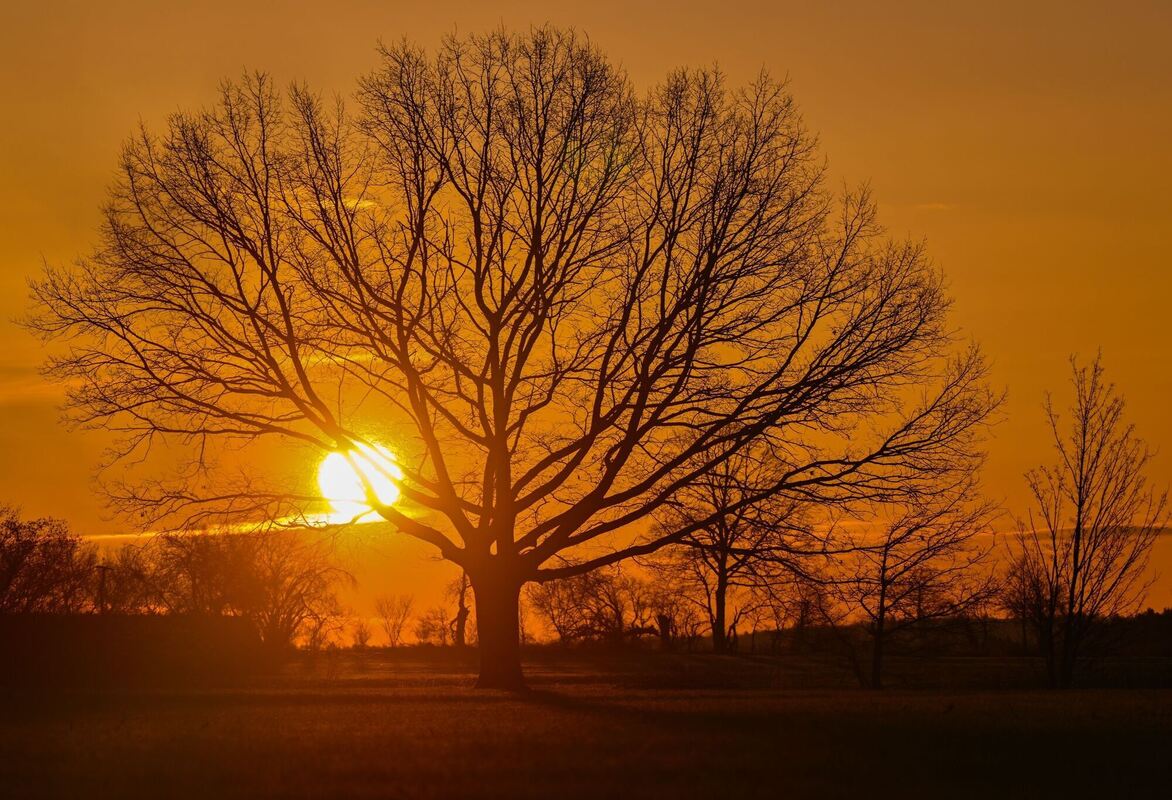 Sonnenaufgang Sonnenaufgang