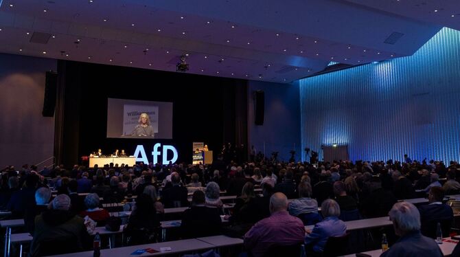 Beginn Landesparteitag AfD Baden-Württemberg