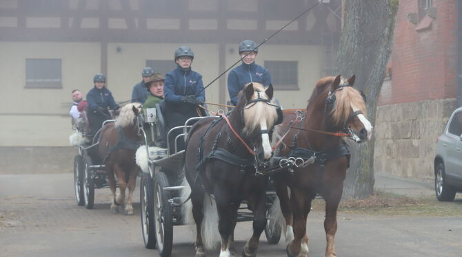 Nebliger Start in die Kaltblutschau: Als Ehrengäste fahren die Hengstzüchter mit der Kutsche ein. In der Halle des Gestütshofs S