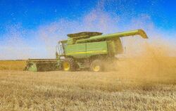 Getreideernte im Ukraine-Krieg