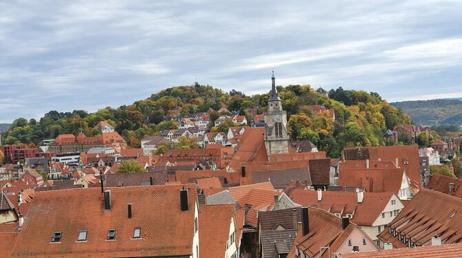 Blick über die Dächer der Altstadt auf die Stiftskirche vom Schloss Hohentübingen.  FOTO: SCHITZ