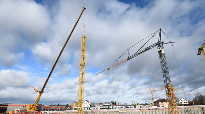 Insgesamt fünf Kräne wachsen auf der Baustelle des neuen Landratsamtes Reutlingen jetzt in den Himmel.  FOTOS: ZENKE