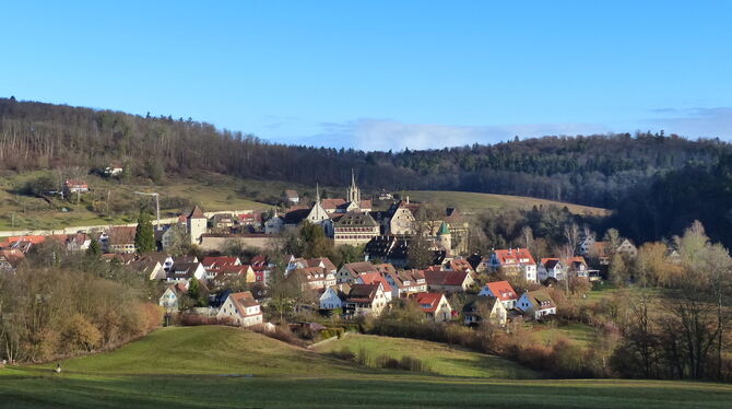 Der Tübinger Stadtteil mit der größten Ausdehnung, aber nur 326 Einwohnern: Bebenhausen vom Waldrand aus fotografiert. FOTO: WEB