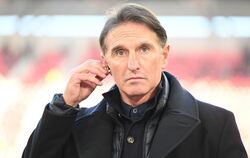 VfB-Trainer Bruno Labbadia
