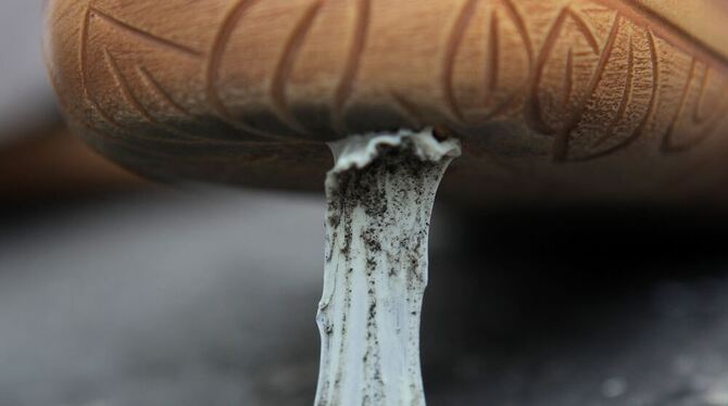 Foto: Fredrik von Erichsen dpa