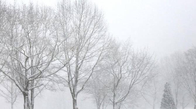 Massiver Schneefall hat in Nordrhein-Westfalen zu Verkehrsbehinderungen auf der Straße und in der Luft geführt. Foto: Marcel