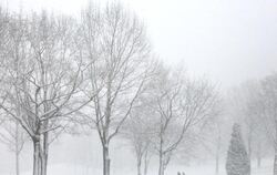 Massiver Schneefall hat in Nordrhein-Westfalen zu Verkehrsbehinderungen auf der Straße und in der Luft geführt. Foto: Marcel 