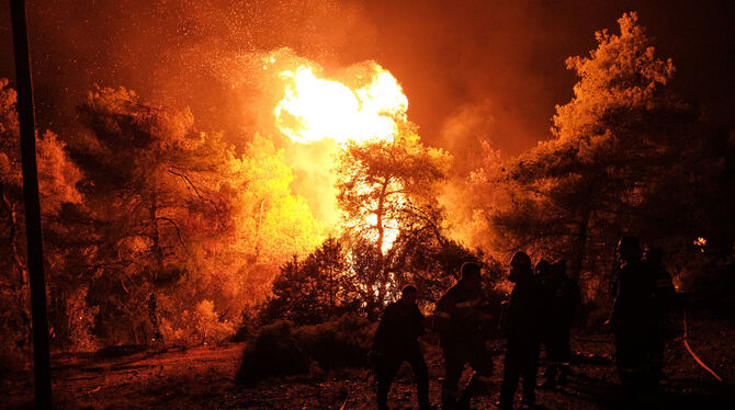 Wenn der Wald wie hier in Griechenland lichterloh brennt, werden Temperaturen bis 500 Grad Celsius erreicht. Das zerstört nicht