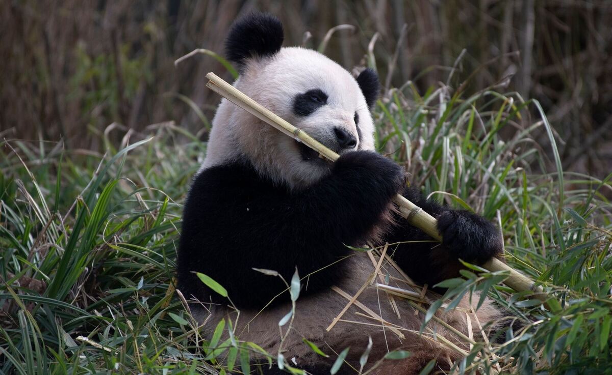 Zoo-Momente Zoo-Momente