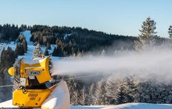 Debatte über Ausbau von Wintersportgebiet Feldberg