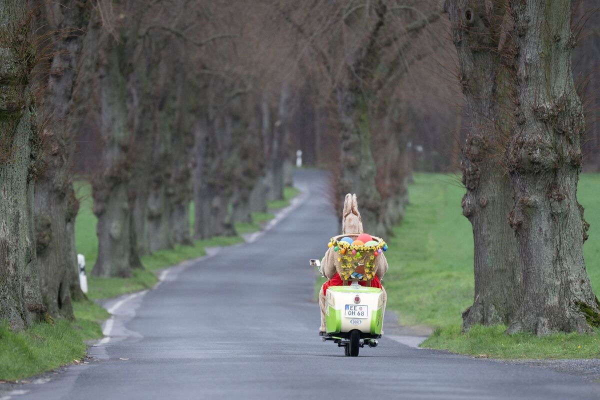 Deutschlands dienstältester Osterhase