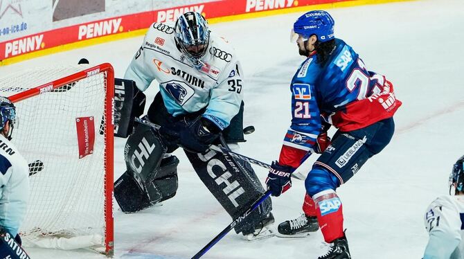 Adler Mannheim - ERC Ingolstadt Adler Mannheim - ERC Ingolstadt