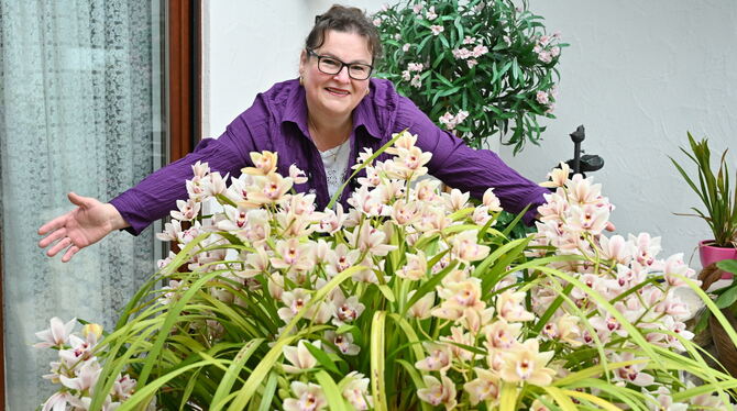 Der Durchmesser der Orchidee ist größer als die Arme von Annette Armbruster reichen.