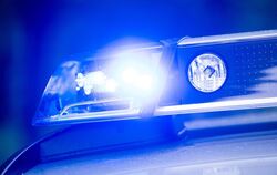 Ein Blaulicht leuchtet auf dem Dach einer Polizeistreife