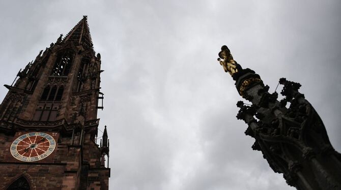 Freiburger Münster Freiburger Münster