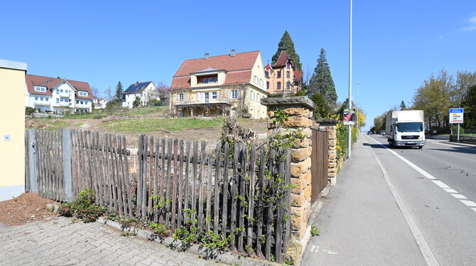 Blick auf das gerodete Grundstück rund um die Villa Menzel an der Alteburgstraße.  FOTOS: ZENKE