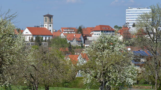 Gomaringens drei Wahrzeichen – Kirche, Schloss und Naturana-Hochhaus – mit unbebauter Streuobstwiesenfläche davor. Zusammen mit