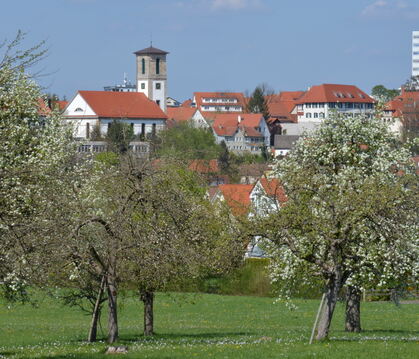 Gomaringens drei Wahrzeichen – Kirche, Schloss und Naturana-Hochhaus – mit unbebauter Streuobstwiesenfläche davor. Zusammen mit 