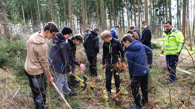 Mitglieder der Jugendfeuerwehr Engstingen pflanzen 2 000 Buchenwildlinge im Gemeindewald.  FOTO: LEIPPERT