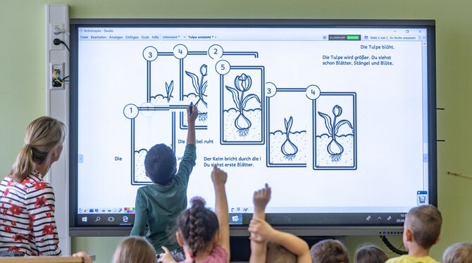 So oder ähnlich sehen digitale Tafeln aus, die den Schulkindern multimediales Lernen ermöglicht.  FOTO: DPA