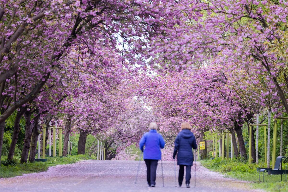 Farbenfroher Spaziergang