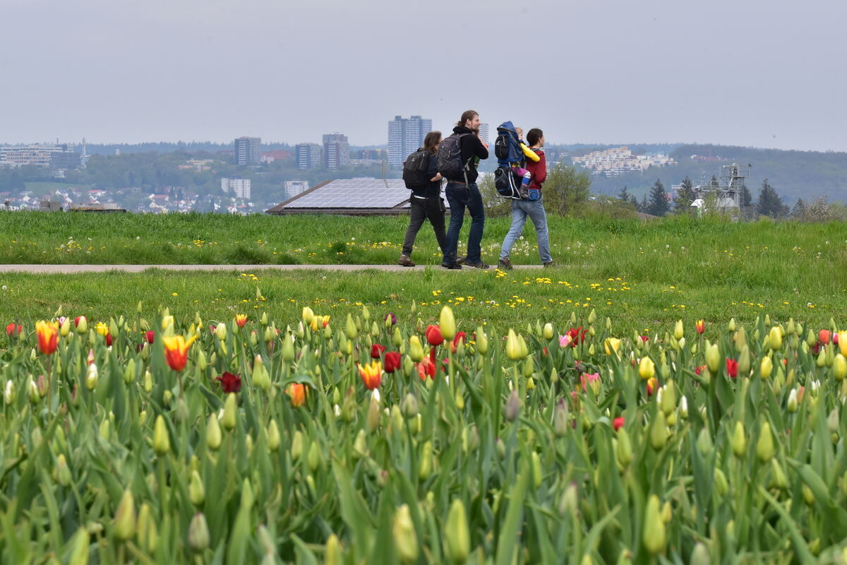 FOTOS JÜRGEN MEYER MAIFEIERN_28