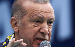 Der türkische Präsident Recep Tayyip Erdog˘an spricht im April bei einer Wahlkampfveranstaltung in Ankara.  FOTO: UNAL/DPA