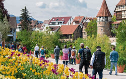 Die Gartenschau in Balingen kann nach dem schweren Unwetter am Wochenende wieder besucht werden.