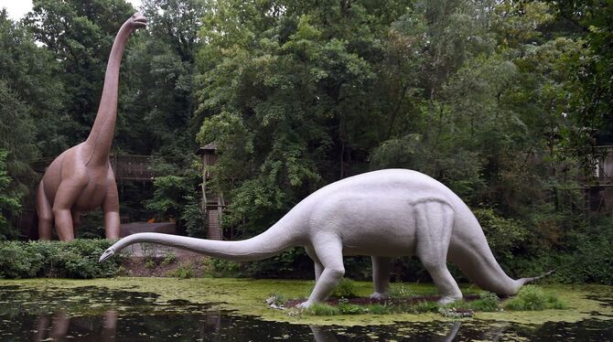 Brachiosaurus und Diplodocus