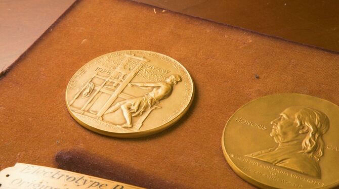Pulitzer-Preis - Medaille Pulitzer-Preis - Medaille