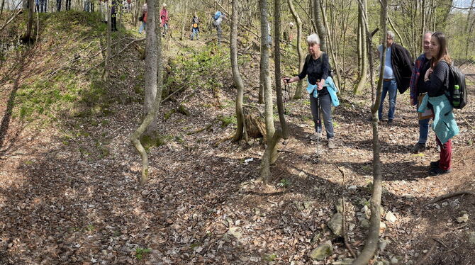 Die Archäologin Dorothee Ade (rechts) mit Exkursionsteilnehmern inmitten der rätselhaften Burganlage auf dem Schlösslesberg zwi