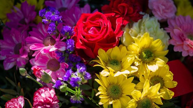 Blumen zum Muttertag