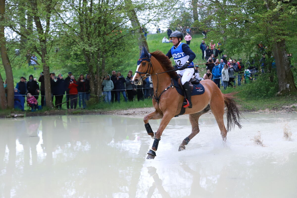 Vielseitigkeit-Jung Michael