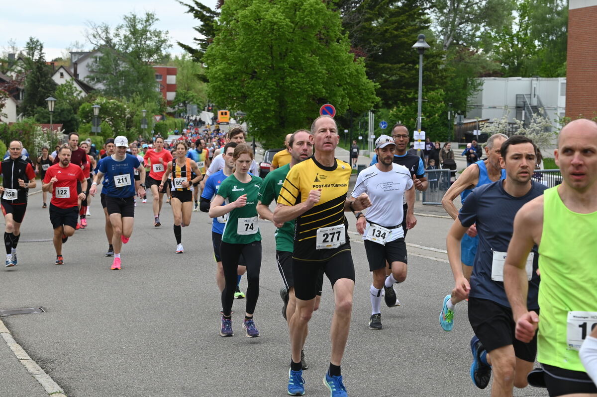 780_0001FOTOS JÜRGEN MEYER 13 Mai 0052