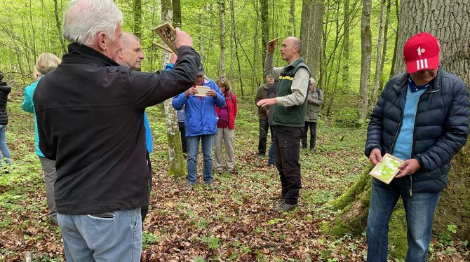 Förster Reinhold Gerster verteilte beim Waldumgang im Ofterdinger Forst Handspiegel − um den Wald aus anderen Perspektiven zu be