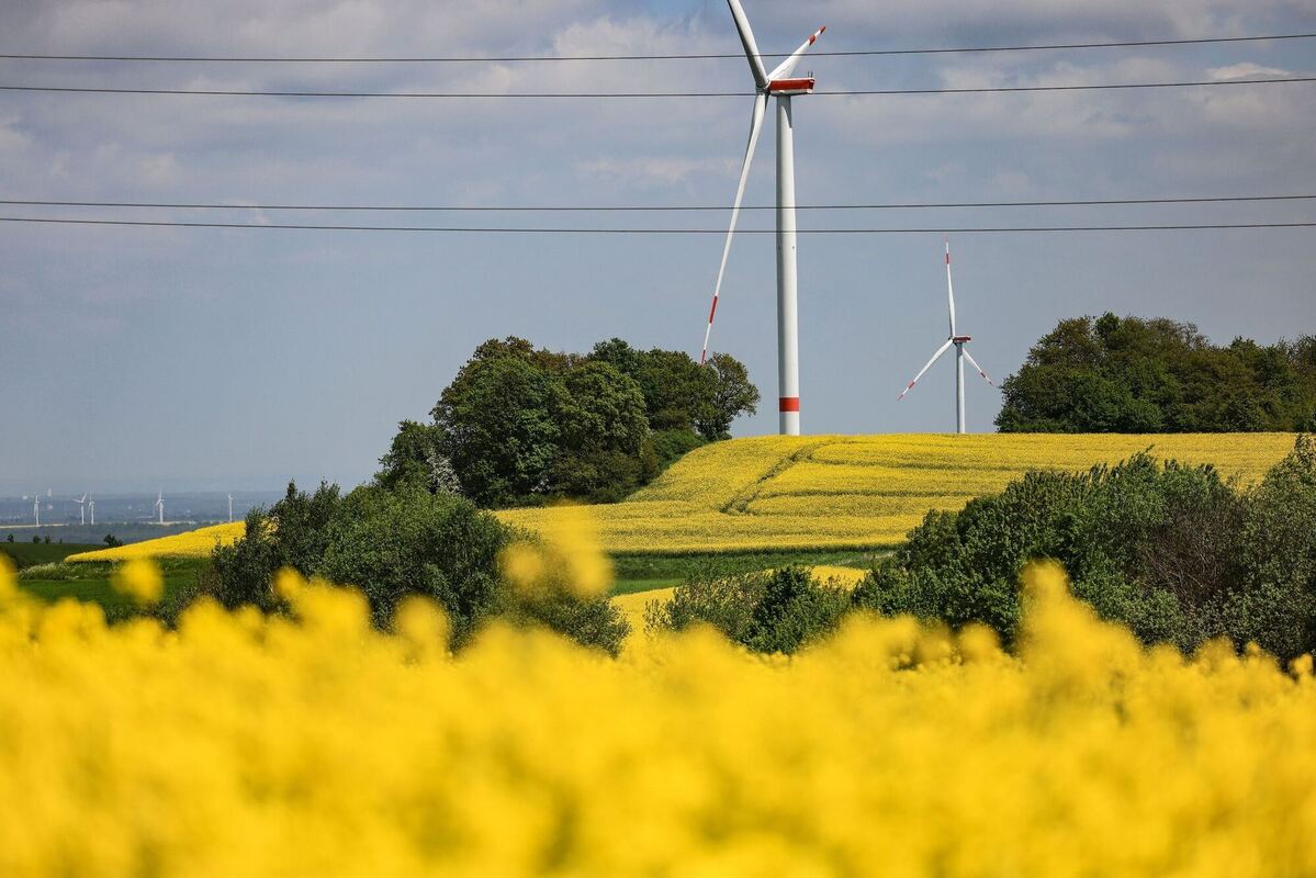 Frühlingsgefühle Frühlingsgefühle