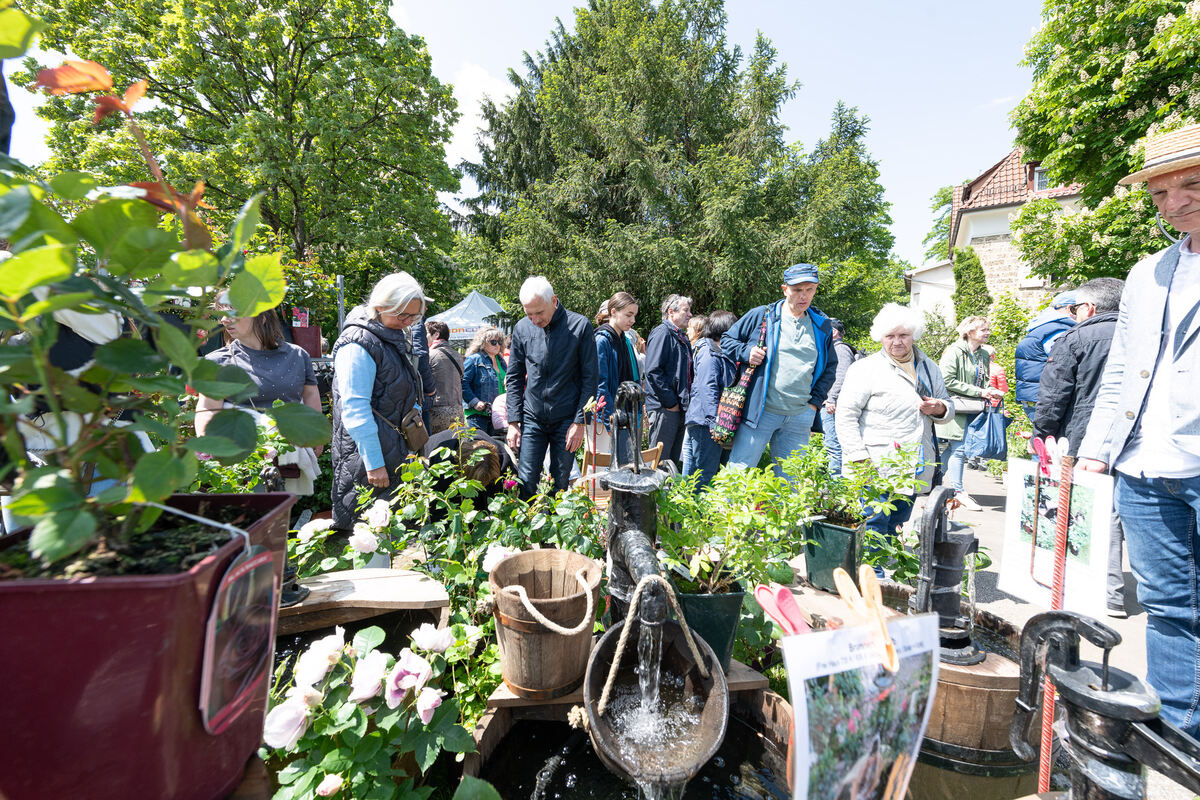 GardenLife_18_05_2023_Schanz_057