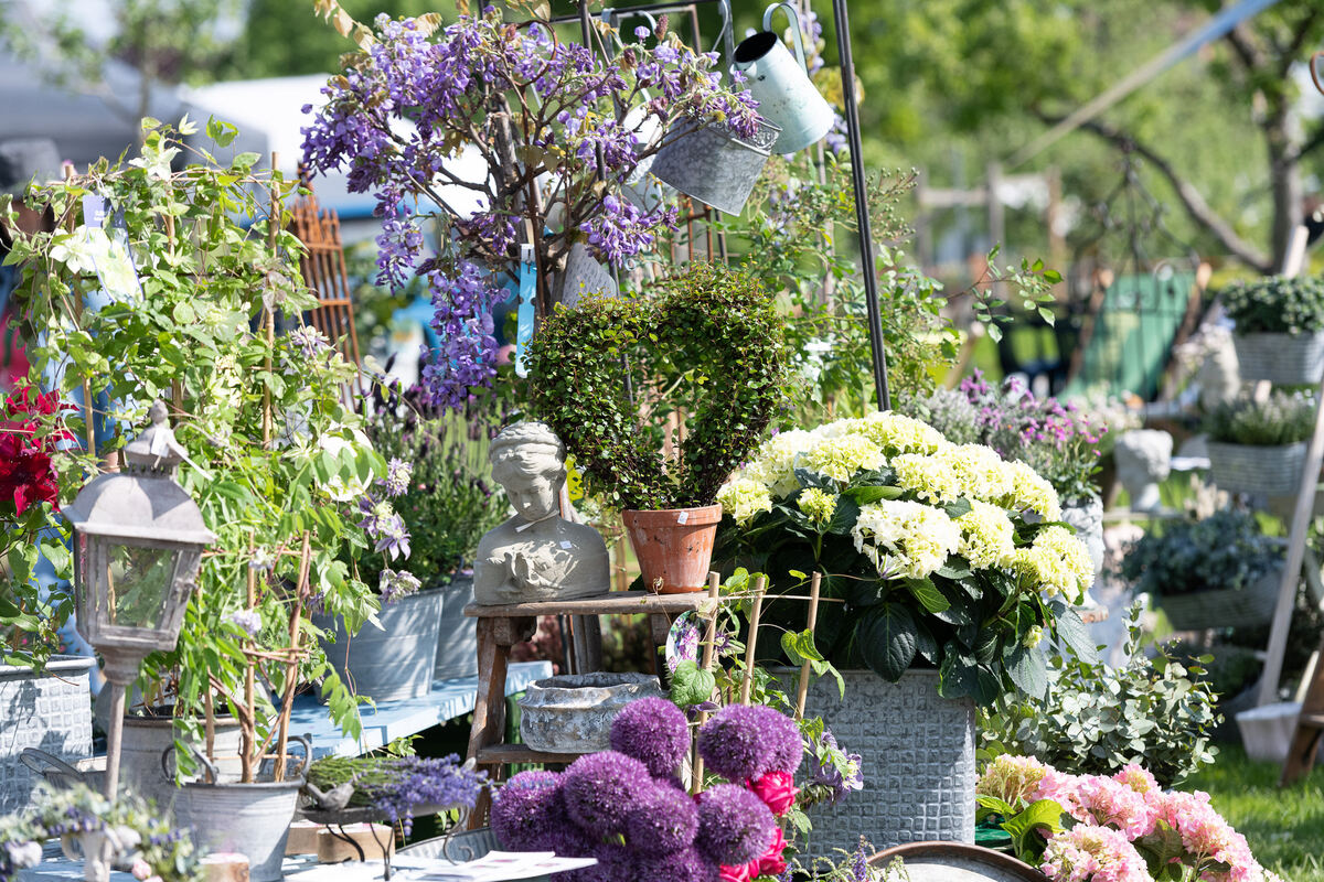 GardenLife_18_05_2023_Schanz_002