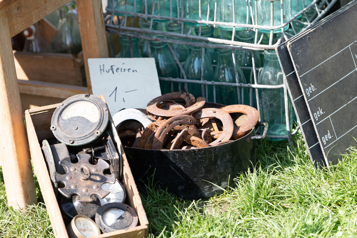 GardenLife_18_05_2023_Schanz_005