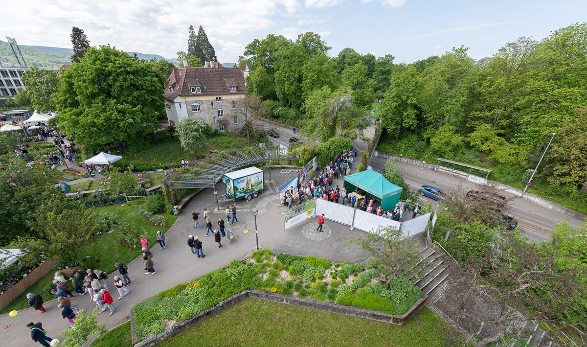 GardenLife_18_05_2023_Schanz_024