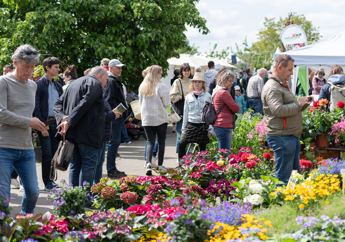 GardenLife_18_05_2023_Schanz_028