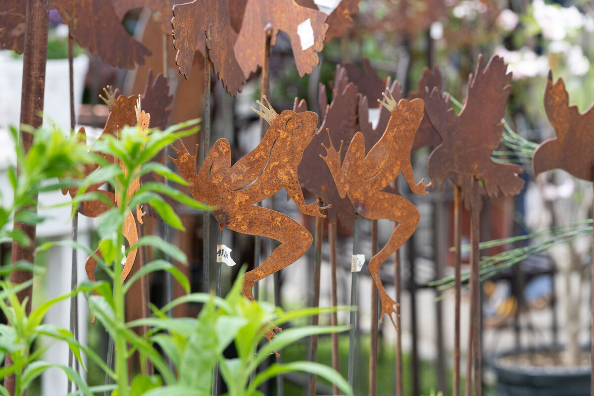 GardenLife_18_05_2023_Schanz_029