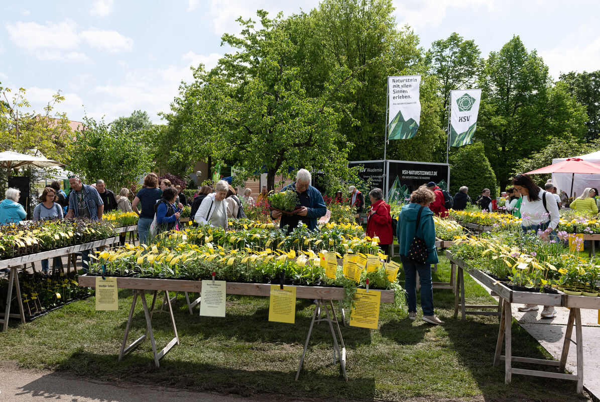 GardenLife_18_05_2023_Schanz_030