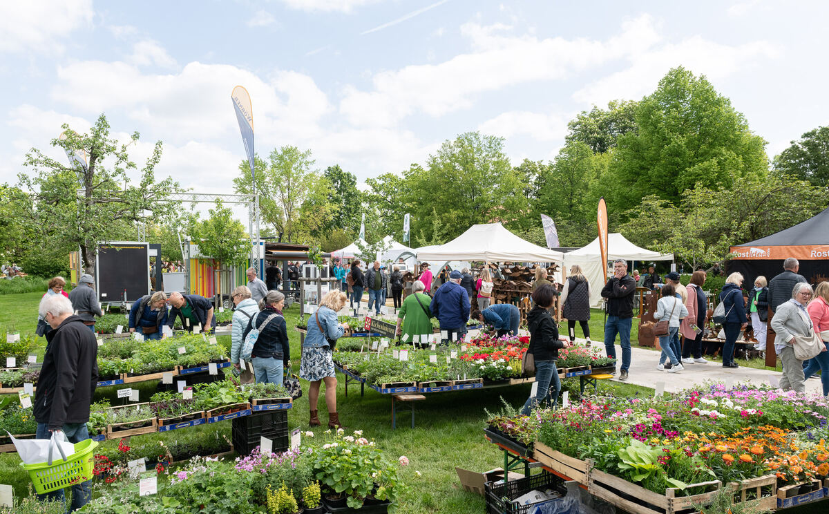 GardenLife_18_05_2023_Schanz_033