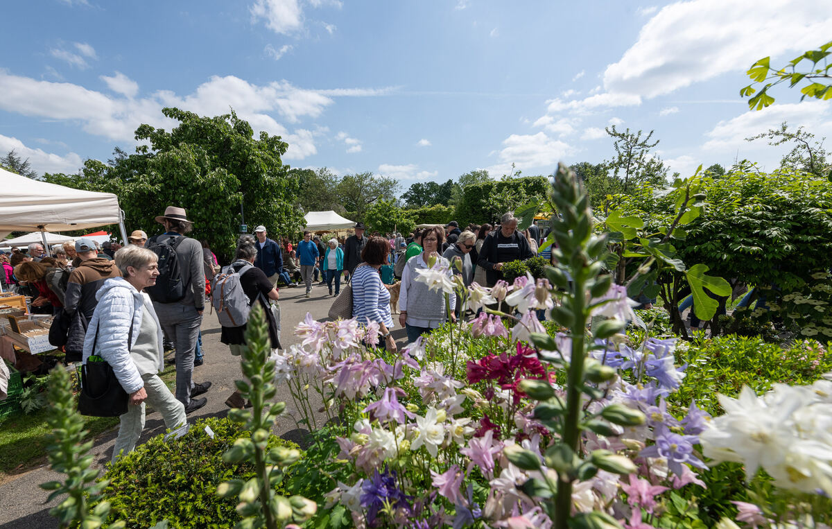 GardenLife_18_05_2023_Schanz_038