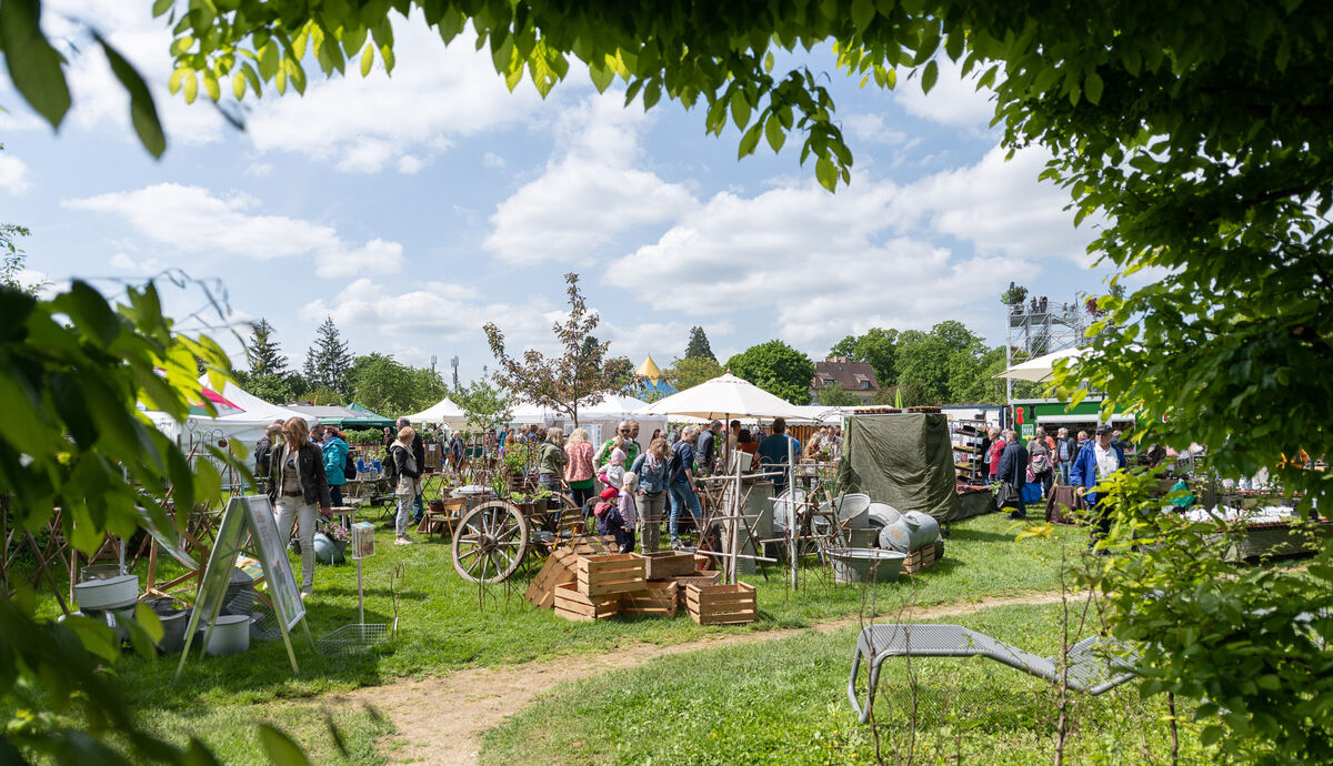 GardenLife_18_05_2023_Schanz_040