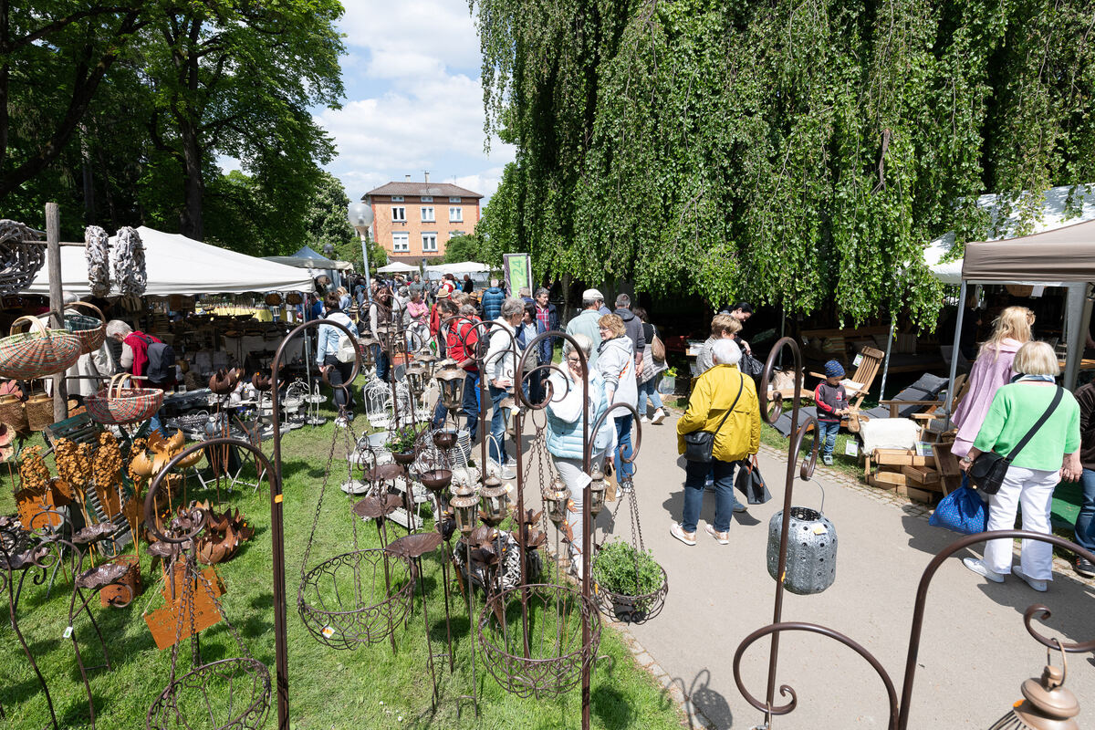 GardenLife_18_05_2023_Schanz_045